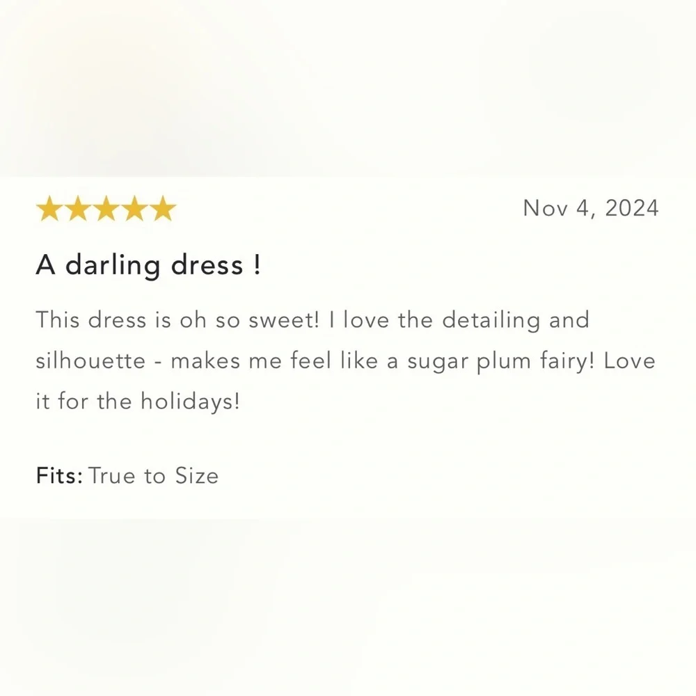 NWT Size 10 - Maeve Sleeveless V-Neck Lace Fit & Flare Mini Dress - Picture 16 of 16